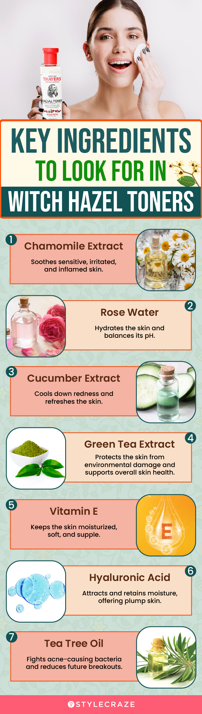 Key Ingredients To Look For In Witch Hazel Toners (infographic)