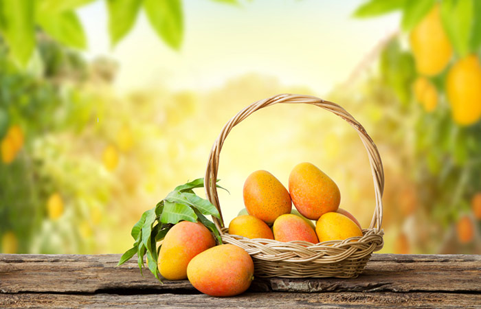 Lines On Mango in Hindi Mango Season