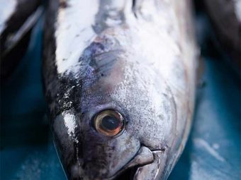 Tuna Fish Benefits and Side Effects in Hindi