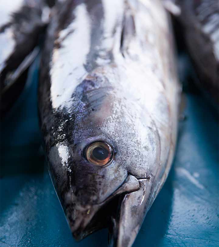 टूना मछली के फायदे और नुकसान – Tuna Fish Benefits and Side Effects in Hindi