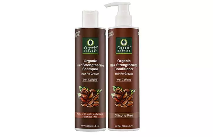 10-Best-Herbal-Shampoos-And-Conditioners-Available-In-India9