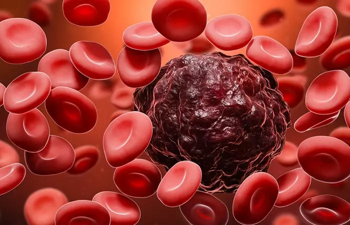 A River Of Blood And Lymph