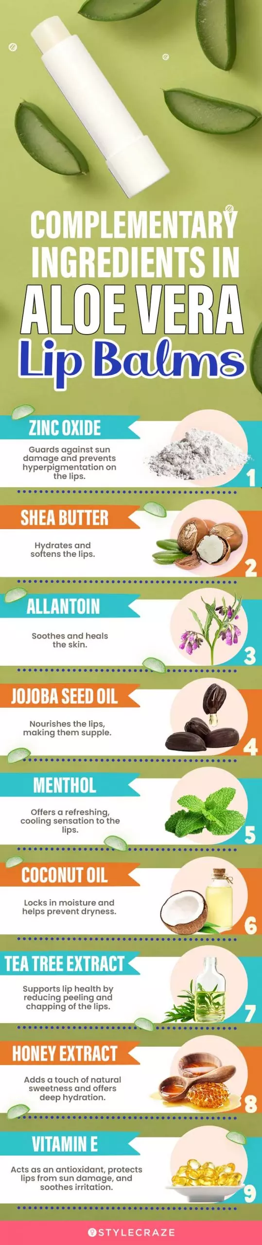 Complementary Ingredients In Aloe Vera Lip Balms (infographic)