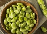 फावा बीन्स (बाकला) के फायदे, उपयोग और नुकसान - Fava Bean Benefits ...