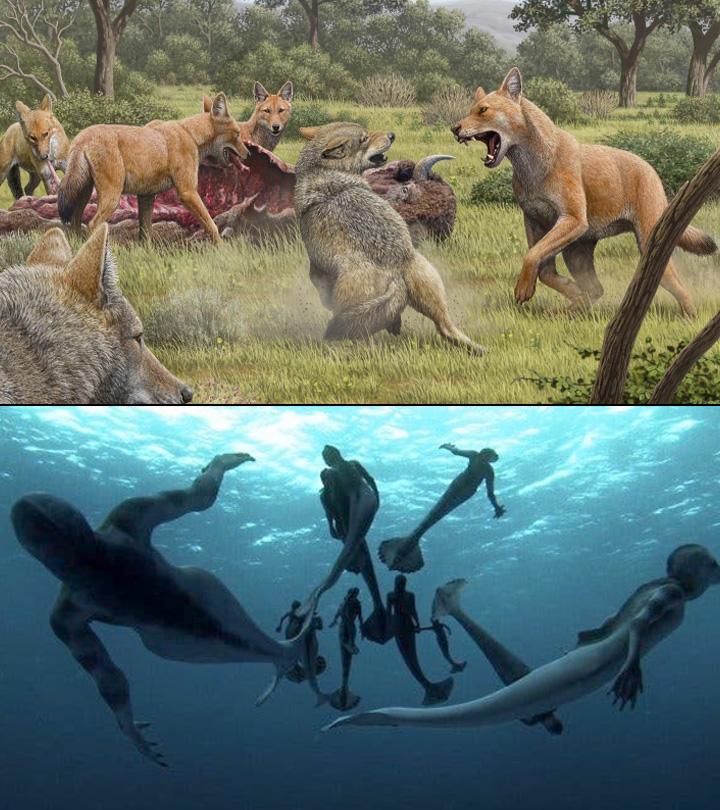 7 Mythical Creatures That Actually Might Have Existed