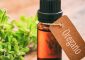 Oregano Oil Benefits and Side Effects in Hindi