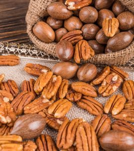 Pecan-Nuts-Benefits-and-Side-Effects-in-Hindi