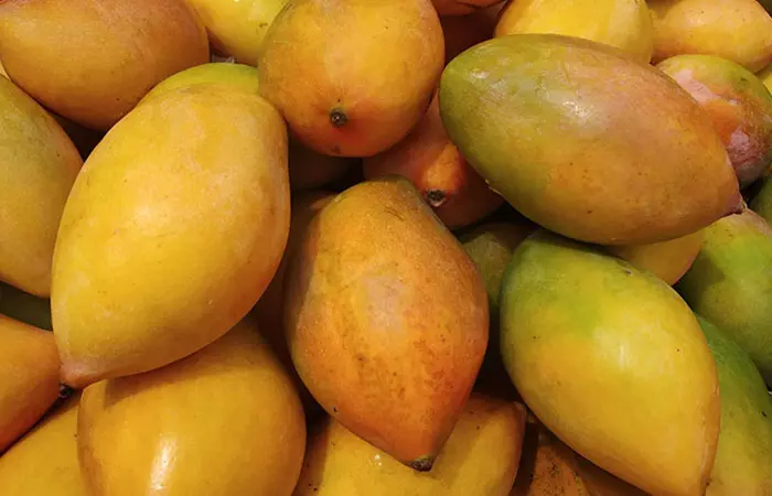 Totapuri Mangoes Karnataka