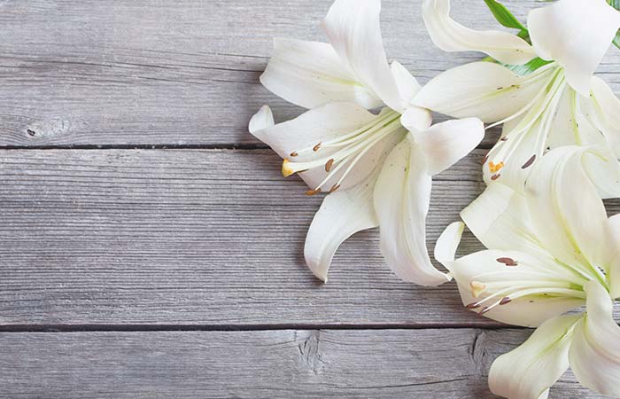 13-Best-Flowers-for-Skin-Care-in-Hindi