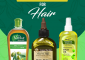 9 Best Pure Olive Oils For Hair [Buying Guide]
