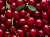 चेरी के 12 फायदे, उपयोग और नुकसान - Cherry Benefits and Side Effects ...