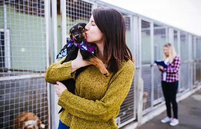 Consider Adopting A Pet