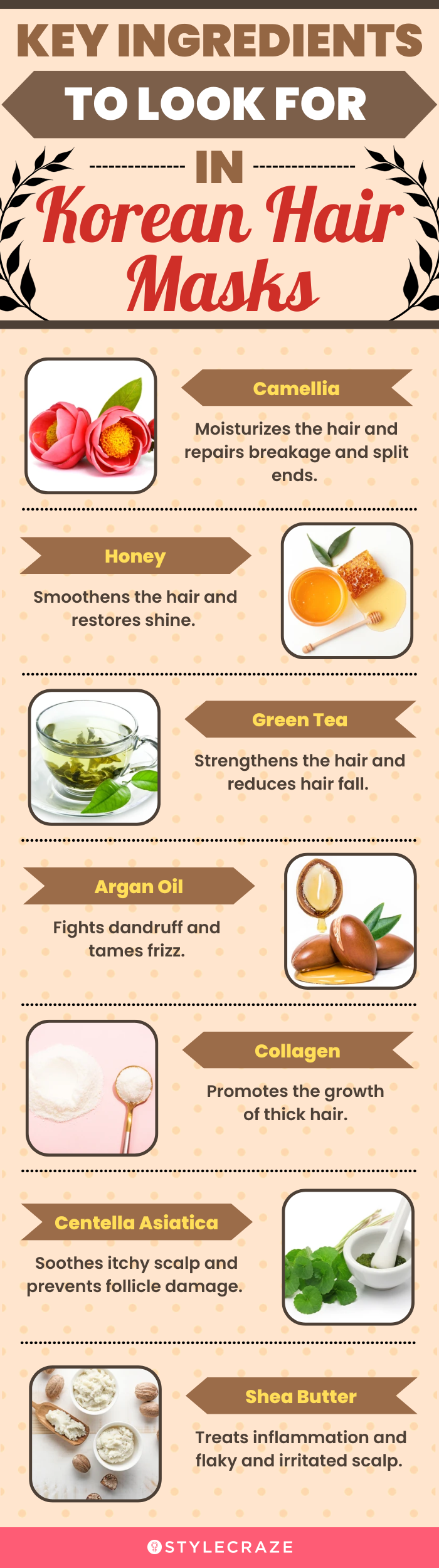 Key Ingredients To Look For In Korean Hair Masks (infographic)