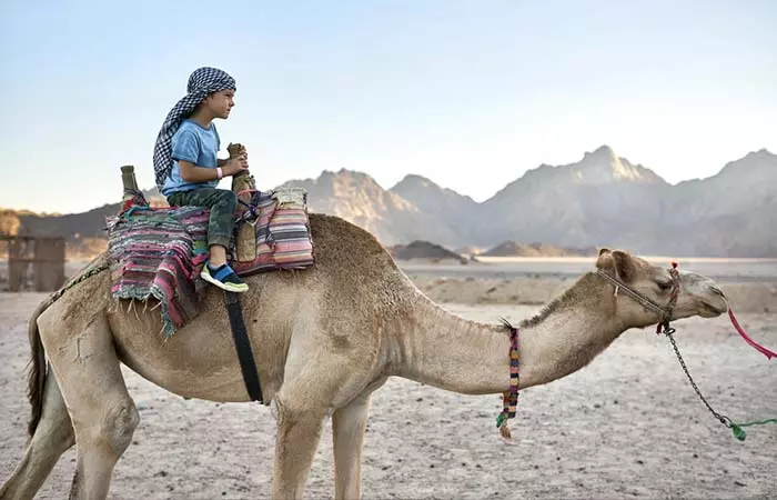 No, We Dont Ride To School On Camels