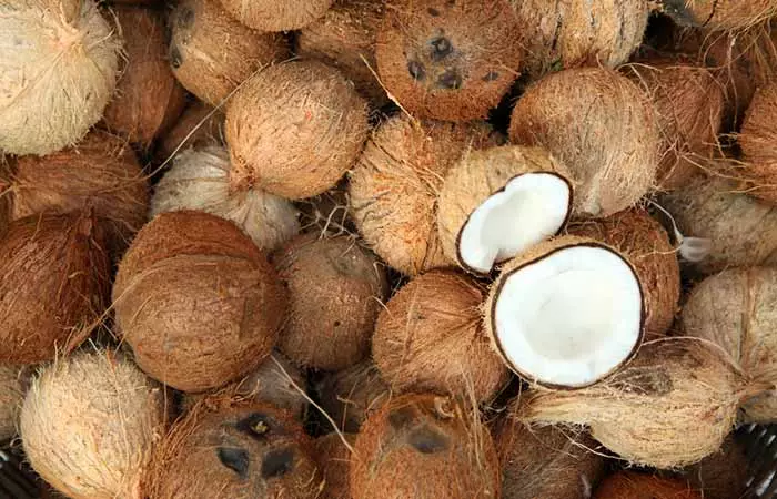 Plenty Of Coconuts