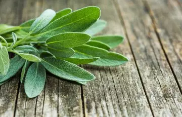 Use sage water for hair loss