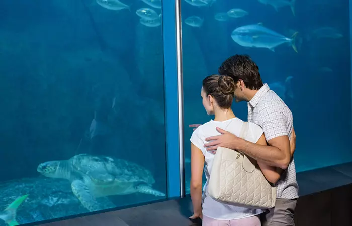 Couple looking at an aquarium