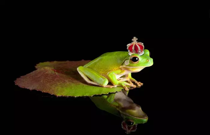 Are You Waiting For Your Prince Charming