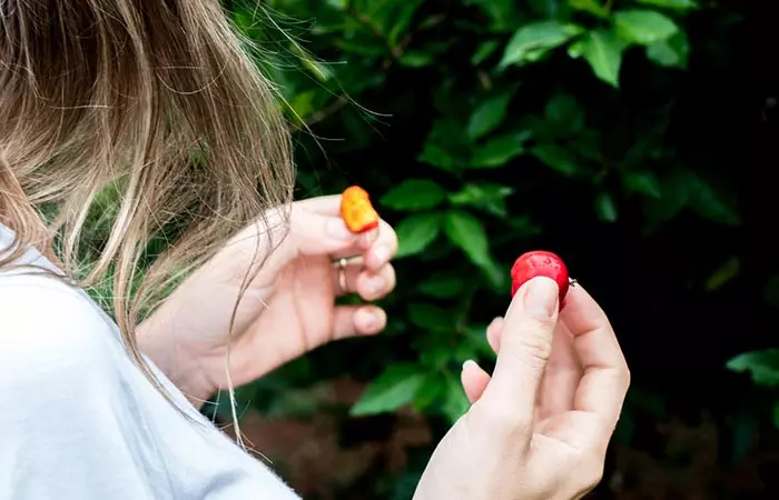 Woman eating acerola cherries off the tree