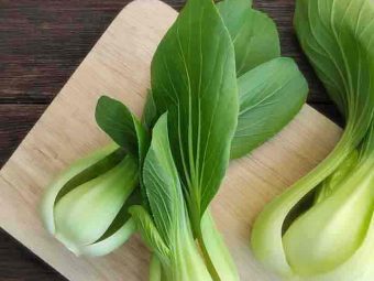 Bok Choy Benefits, Nutrition, Recipes, And Possible Risks