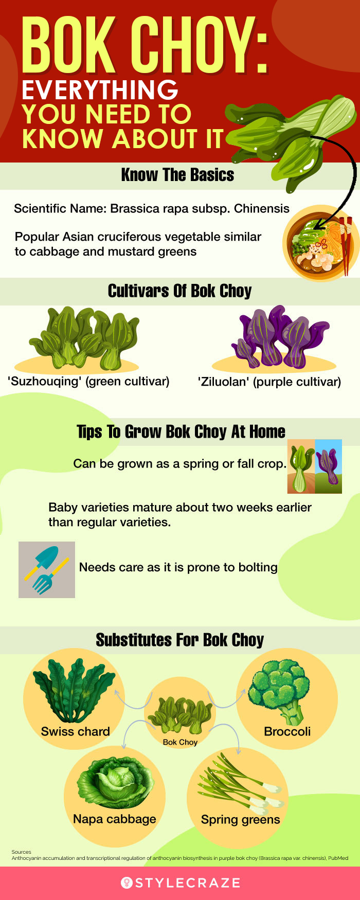 bok choy everything you need to know about it (infographic)