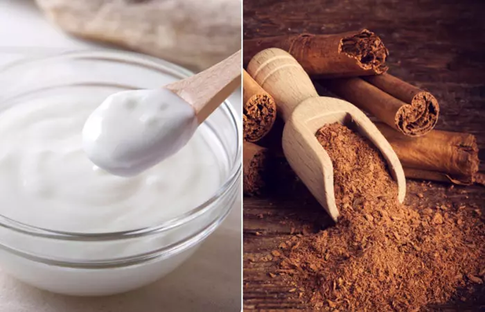 Cinnamon And Yogurt