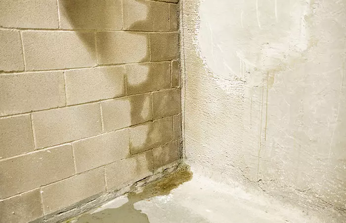Control Indoor Moisture