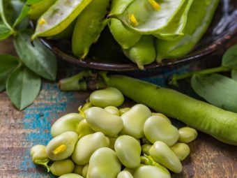 Lima Beans Nutrition Benefits, Preparation, And Risks