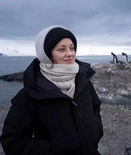 Marion Cotillard