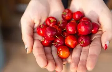 Woman holding acerola cherries in cupped palms