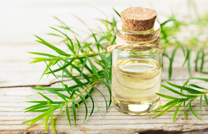Tea tree essential oil helps manage frizzy hair