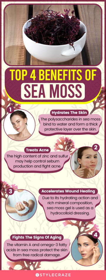 top 4 benefits of sea moss (infographic)