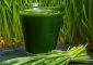 Wheatgrass Juice Benefits and Side Effects