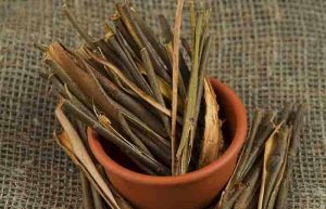 6 Benefits Of Willow Bark Extract For...