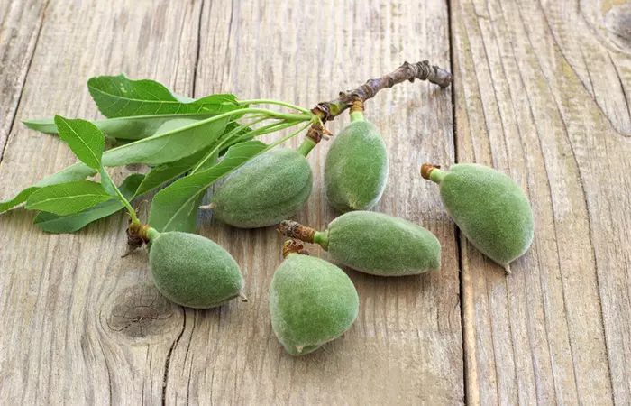 A branch of green almond lying on the floor