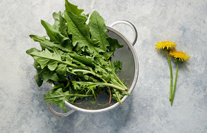 Dandelion leaves can be used as a homemade pregnancy test