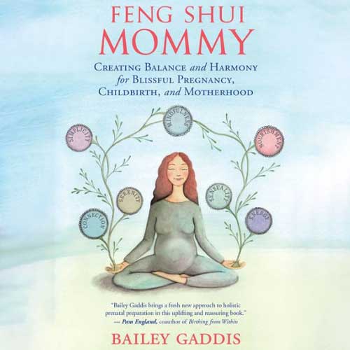 Feng Shui Mommy: Creating Balance and Harmony for Blissful Pregnancy, Childbirth, and Motherhood