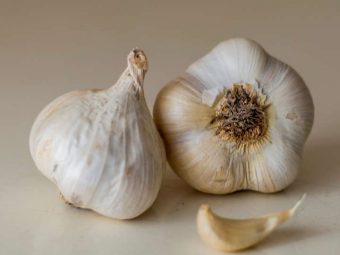 Garlic (Lahsun) in Hindi
