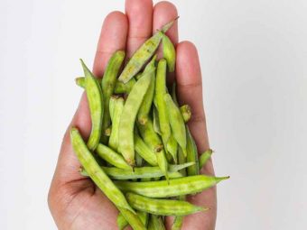 Guar-Gum-(Cluster-Beans)-Benefits-and-Side-Effects-in-Hindi