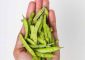 ग्वार फली के फायदे और नुकसान – Guar Gum (Cluster Beans) Benefits ...
