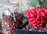 6 Impressive Hawthorn Berry Benefits, Dosage, & Side Effects