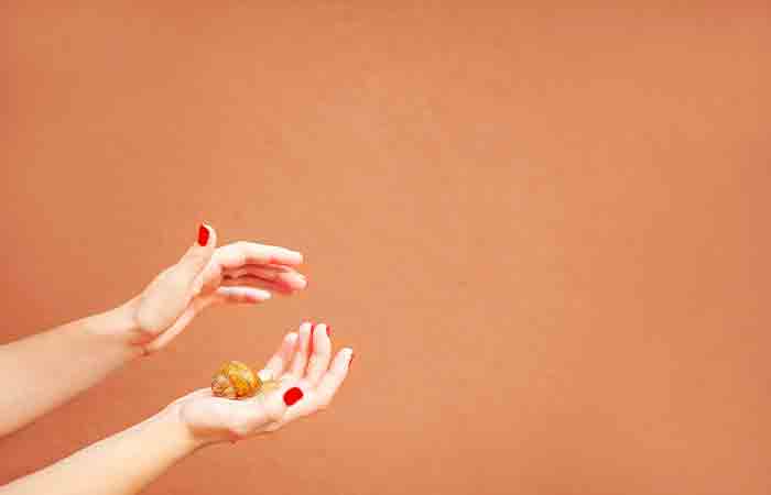 Women holding garden snail in her hands