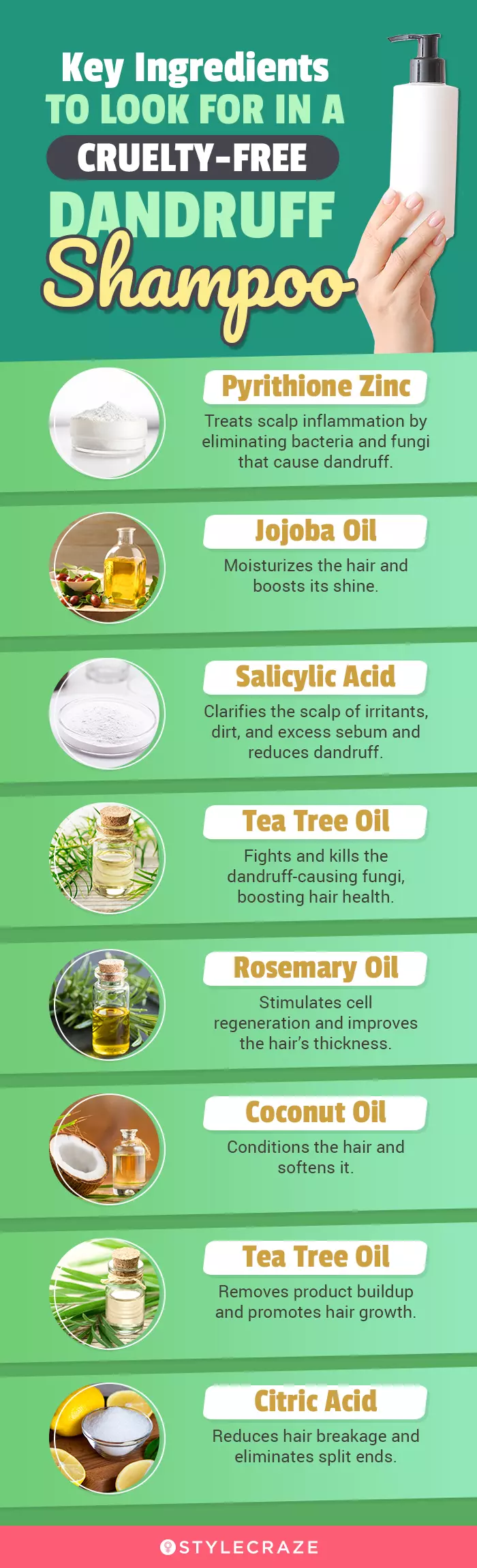 Key Ingredients To Look For In A Cruelty-Free Dandruff Shampoo (infographic)