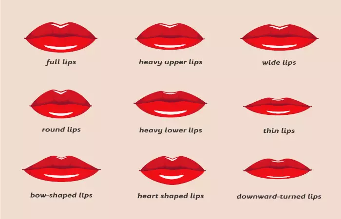 The most common lip shapes