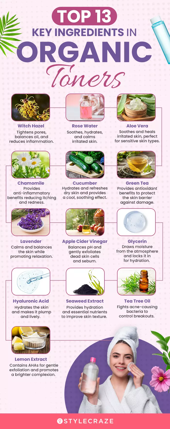 Top 13 Key Ingredients In Organic Toners (infographic)