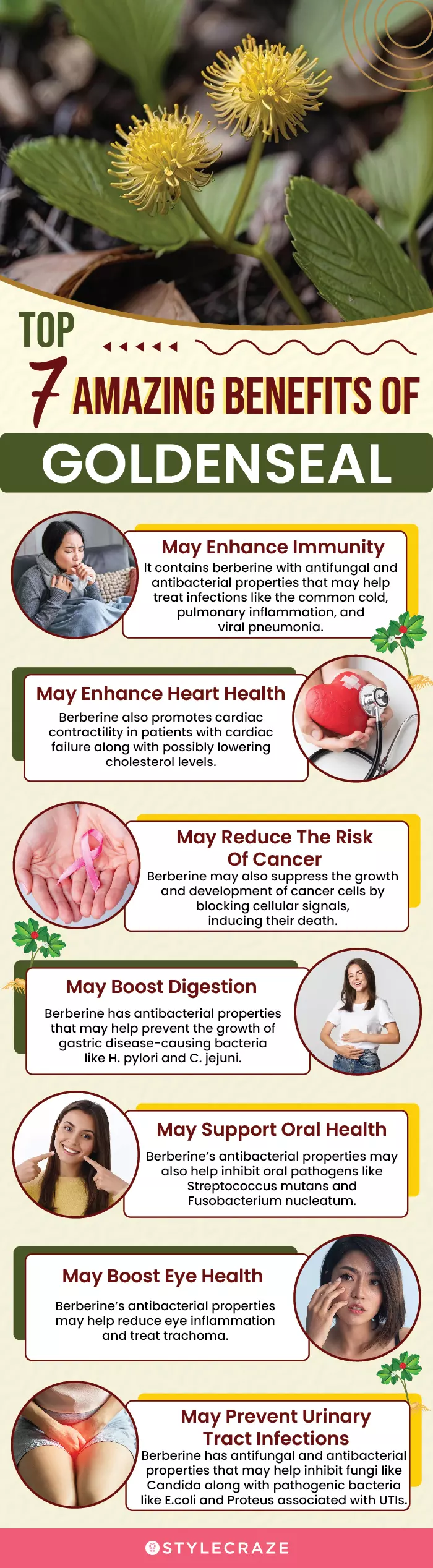 top 7 amazing benefits of goldenseal (infographic)