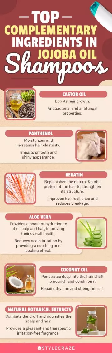 Top Complementary Ingredients In Jojoba Oil Shampoos (infographic)