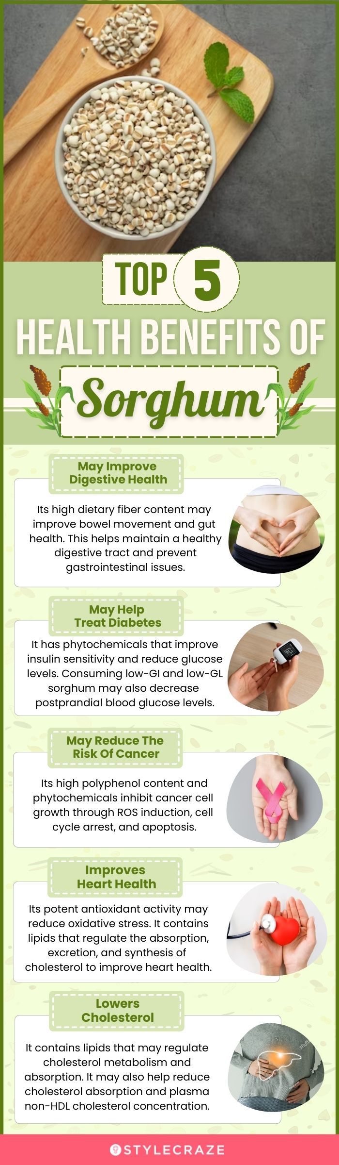 top 5 health benefits of sorghum (infographic)
