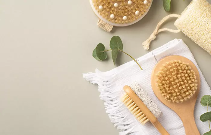 Types of brushes for dry brushing.