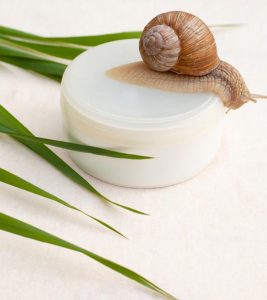 Snail Mucin For Skin: Uses, Benefits,...